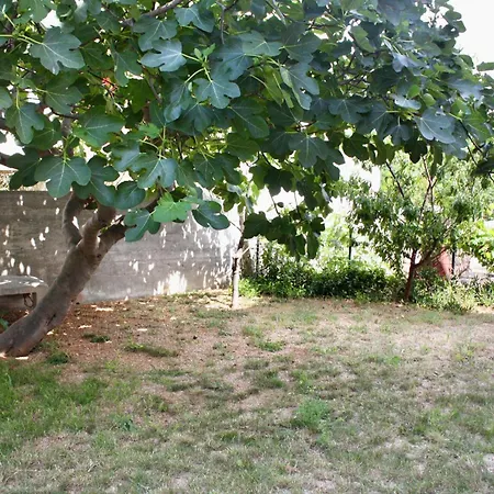 דירה With A Parking Space Barbat, Rab - 5002 Barbat na Rabu